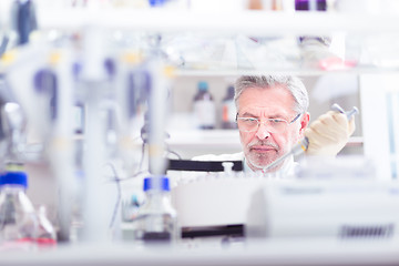 Image showing Life scientist researching in the laboratory.