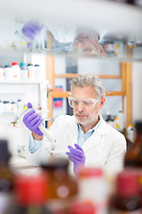 Image showing Life scientist researching in the laboratory.