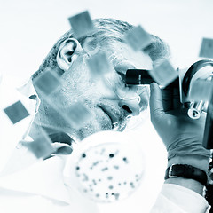 Image showing Life science researcher microscoping.