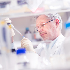 Image showing Life scientist researching in the laboratory.