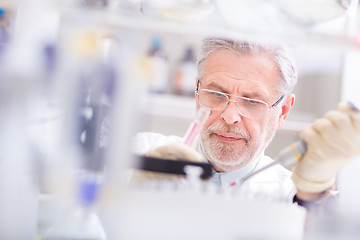 Image showing Life scientist researching in the laboratory.