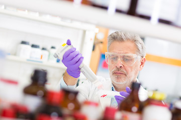 Image showing Life scientist researching in the laboratory.