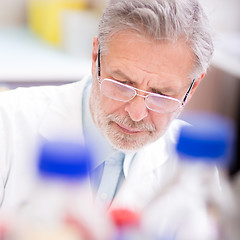 Image showing Life scientist researching in the laboratory.