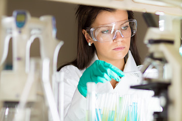 Image showing Young chemist in the laboratory.