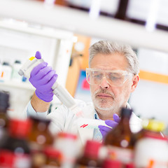 Image showing Life scientist researching in the laboratory.