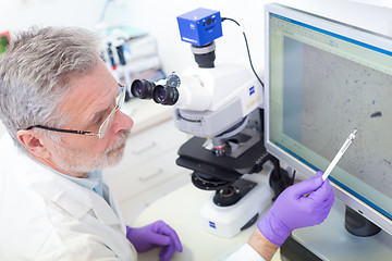 Image showing Senior scientist  microscoping in lab.