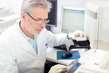 Image showing Life scientist researching in the laboratory.