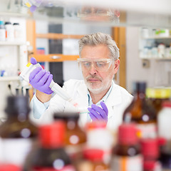 Image showing Life scientist researching in the laboratory.