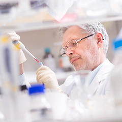 Image showing Life scientist researching in the laboratory.