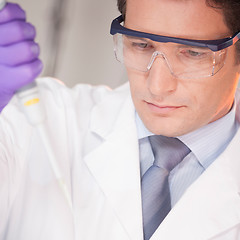 Image showing Researcher pipetting in laboratory.