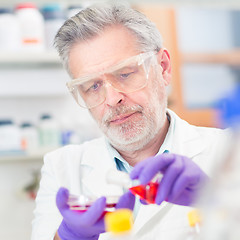 Image showing Life scientist researching in the laboratory.