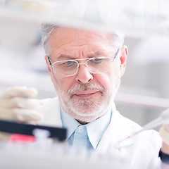 Image showing Life scientist researching in the laboratory.