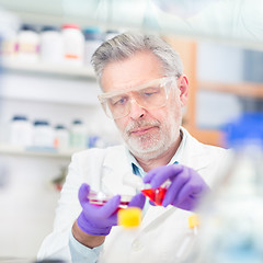 Image showing Life scientist researching in the laboratory.