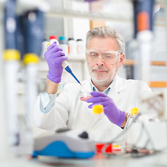 Image showing Life scientist researching in the laboratory.