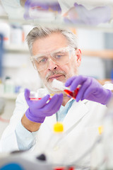 Image showing Life scientist researching in the laboratory.