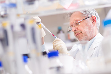 Image showing Life scientist researching in the laboratory.