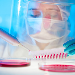 Image showing Working in the laboratory with a high degree of protection