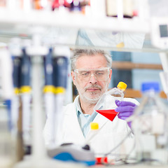 Image showing Life scientist researching in the laboratory.