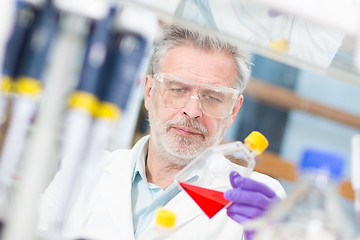 Image showing Life scientist researching in the laboratory.