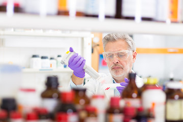 Image showing Life scientist researching in the laboratory.