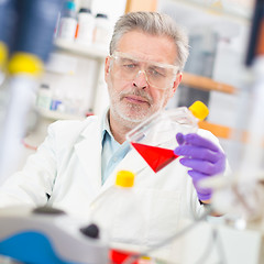 Image showing Life scientist researching in the laboratory.