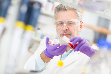 Image showing Life scientist researching in the laboratory.