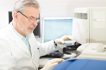 Image showing Life scientist researching in the laboratory.