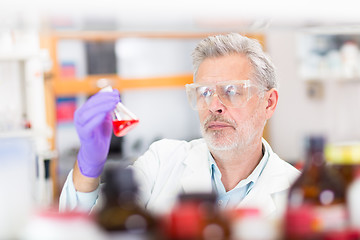 Image showing Life scientist researching in the laboratory.