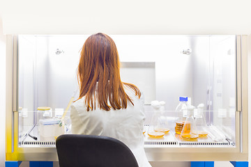 Image showing Life scientist researching in the laboratory.