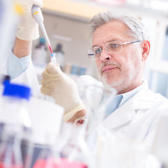 Image showing Life scientist researching in the laboratory.