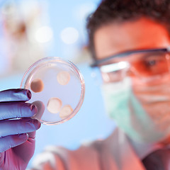 Image showing Scientist observing petri dish.