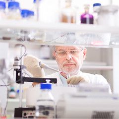 Image showing Life scientist researching in the laboratory.