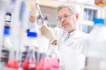 Image showing Life scientist researching in the laboratory.