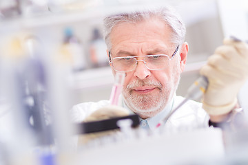 Image showing Life scientist researching in the laboratory.