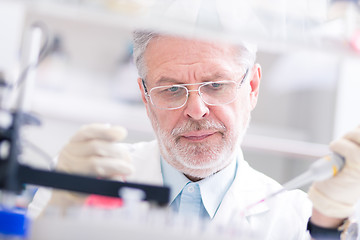 Image showing Life scientist researching in the laboratory.