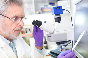 Image showing Senior scientist  microscoping in lab.