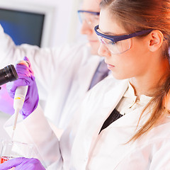 Image showing Young scientist pipetting red solution.