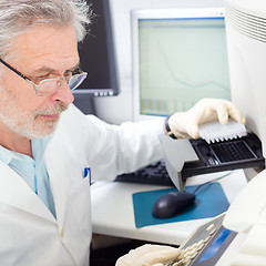 Image showing Life scientist researching in the laboratory.