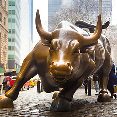 Image showing Charging Bull in Lower Manhattan, NY.