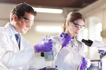 Image showing Attractive young scientist pipetting.