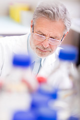 Image showing Life scientist researching in the laboratory.