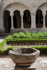 Image showing Old Abbey Garden