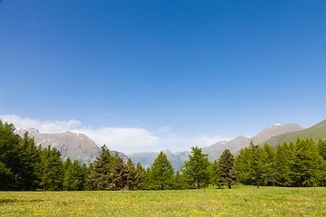 Image showing Italian Alps