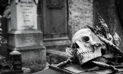 Image showing Old Cemetery statue