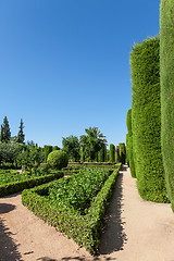 Image showing Italian Garden