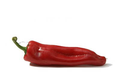 Image showing Paprika punta