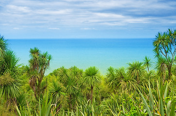 Image showing palm trees 