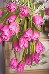 Image showing Bouquet of pink tulips