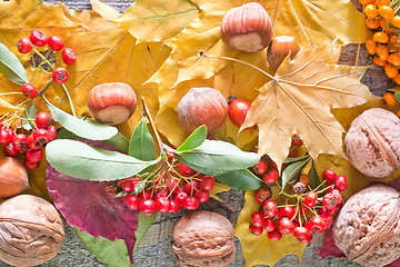 Image showing autumn background