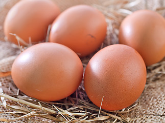 Image showing raw eggs